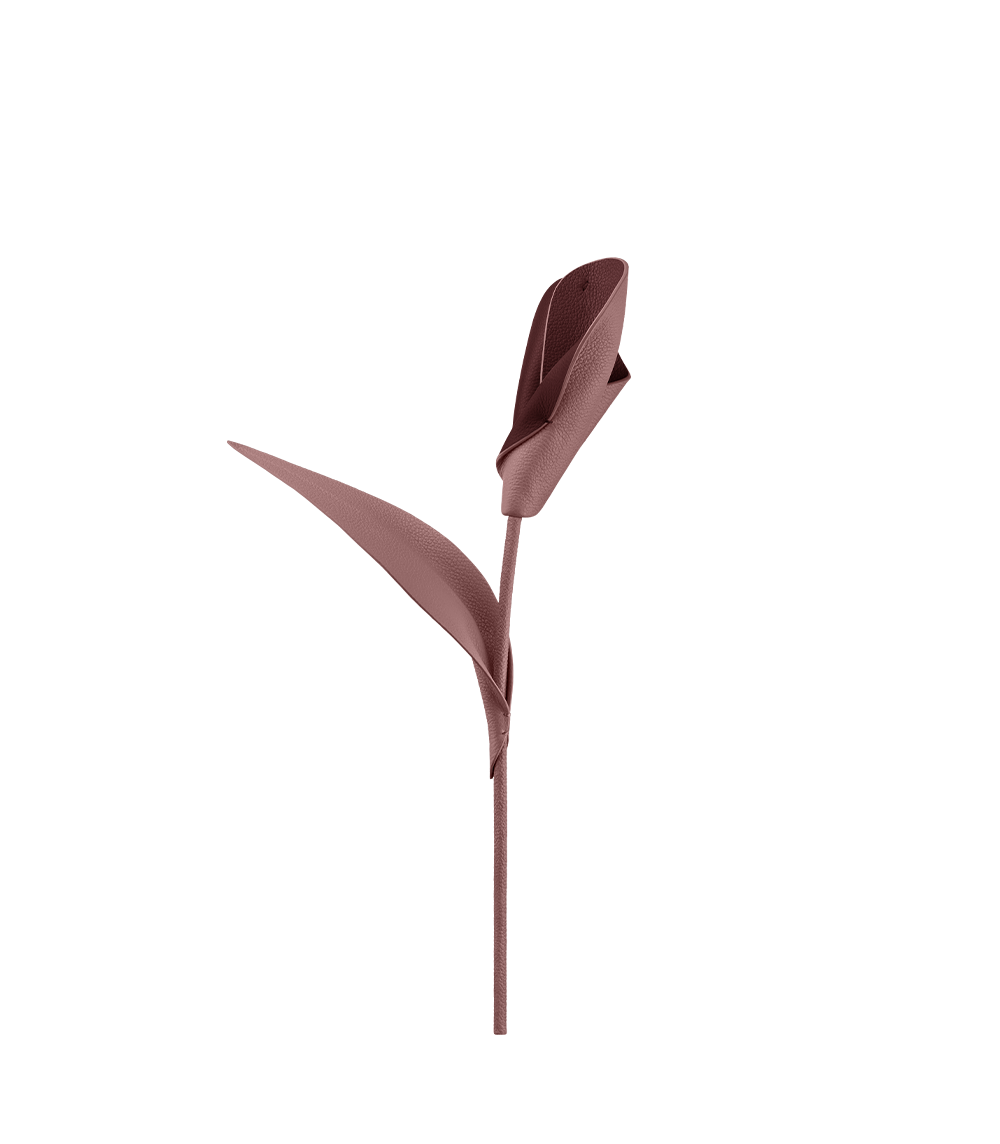 필리 플라워 - 듀오 라일락